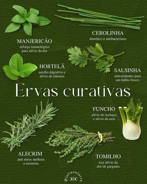 "Harmonize Sua Casa com Incenso Natural #CasaHarmoniosa #IncensoPurificador #EnergiaPositiva #LimpezaEnergética" Herb Diet, Herbal Magic For Wiccans, Magia Das Ervas, Natural Magic, Herbal Magic, Wiccan Spells, Green Witch, Green Life, Natural Herbs