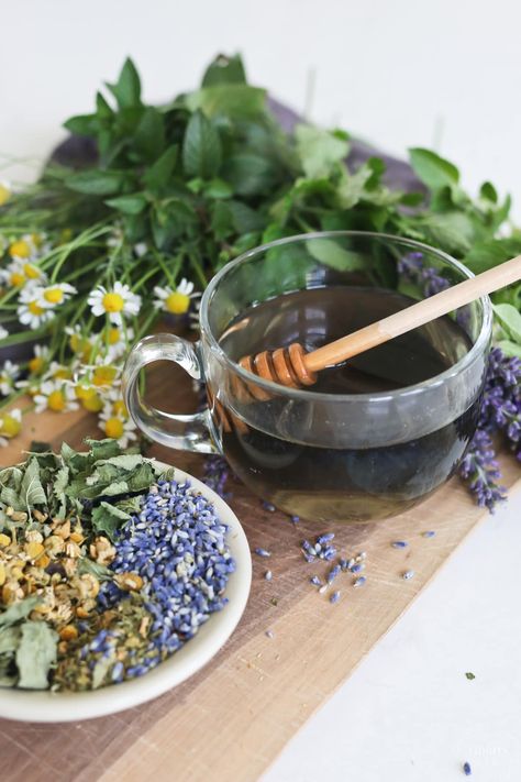 How to Brew Lavender Tea and 6 Recipes to Try Lavender Tea Aesthetic, Peppermint Tea Recipe, Lavender Varieties, Bedtime Tea, Lavender Benefits, Get Better Sleep, Mountain Rose Herbs, Magical Herbs, Lavender Tea