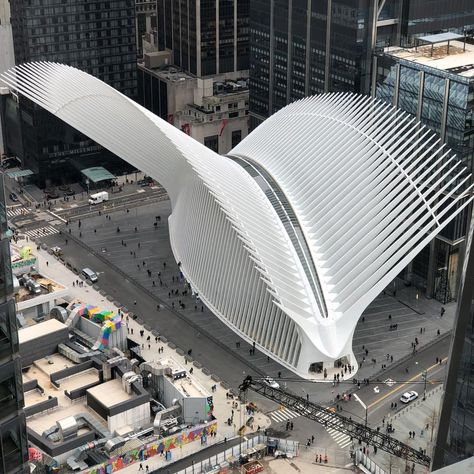 The Oculus designed by Santiago Calatrava. @richcaplanphotography Observatory Architecture, Oculus Architecture, Bird Observatory Architecture, Calatrava Architecture, Santiago Calatrava Sketches, Santiago Calatrava Architecture, Fractal Geometry, Santiago Calatrava, Parametric Architecture