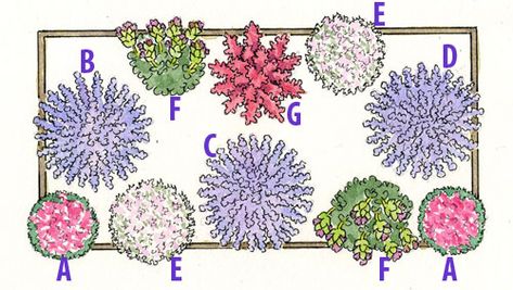 How to Grow Lavender | Gardener's Supply Lavender Raised Garden Bed, Landscaping With Lavender Front Yards, Flower Bed With Lavender, Landscaping With Lemongrass And Lavender, Lavender In Raised Beds, Lavender Flower Bed Ideas, Lavender In Flower Bed, Cottage Garden With Raised Beds, Lavender Raised Bed