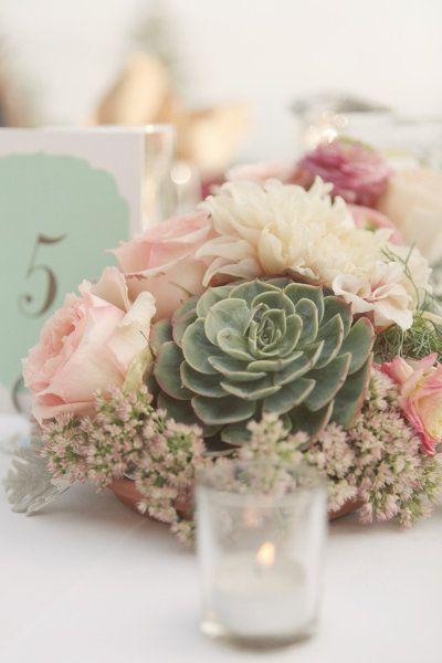 Succulent Wedding Decor, Succulent Wedding Centerpieces, Succulent Centerpiece, Succulent Bouquet Wedding, Succulent Bouquet, Succulent Centerpieces, Colorful Succulents, Succulent Wedding, Succulent Arrangements