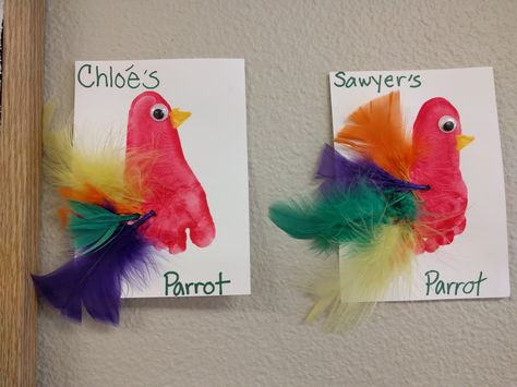 Footprint parrots. Bird theme Handprint Bird, Bird Theme Classroom, Theme Classroom Ideas, Toucan Craft, Bird Crafts Preschool, Rainforest Crafts, Parrot Craft, Jungle Crafts, Toddler Art Projects