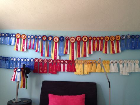 Wall of horse show ribbons How To Hang Horse Show Ribbons, Horse Ribbon Display Ideas Wall Hangings, Horse Ribbon Display Ideas, Horse Ribbons Display Ideas, Horse Ribbon Display, Show Ribbon Display, Horse Room Decor, Horse Girl Problems, Horse Ribbons