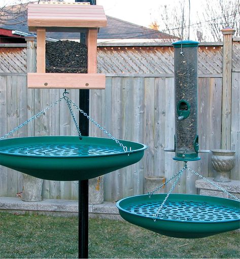 Seed Saucer - Lee Valley Tools Bird Seed Catcher, Diy Bird Seed, Bird Seed Storage, Bird Feeder Station, Bird Feeder Stands, Backyard Birds Watching, Backyard Birds Sanctuary, Backyard Birds Feeders, Seed Storage