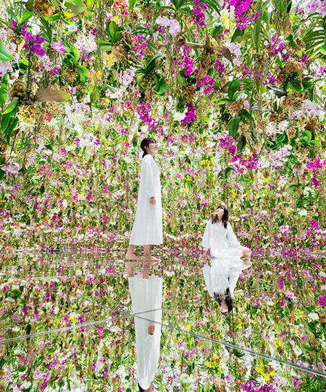 teamLab expands tokyo digital museum with immersive garden Tea Ceremony Japan, Teamlab Planets, Interactive Artwork, Store Entrance, Tokyo Subway, Tokyo Museum, Large Scale Artwork, 100 Things To Do, Digital Museum