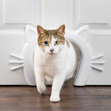 PetSafe Cat Corridor Interior Pet Door, For Small, Medium and Large Cats, Hides Litter Box and Cat Food : Amazon.co.uk: Pet Supplies Hidden Litter Boxes, Cat Patio, Cat Flap, Pet Doors, Pet Door, Cat Door, Space Cat, Cat Room, Large Cats