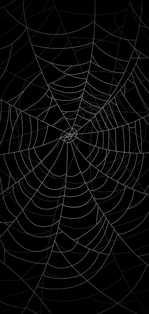 Phone Border Wallpaper, Black Spooky Background, Spooky Backgrounds Wallpapers, Black Spider Web Wallpaper, Spoder Web, 2000s Patterns, Spider Web Aesthetic, Spiderweb Wallpaper, Spider Web Wallpaper