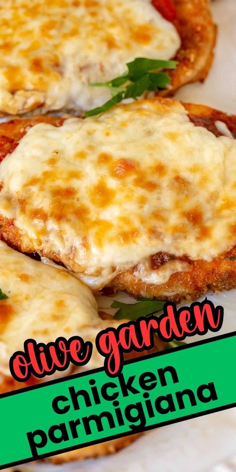 Olive Garden Chicken Parmesan Recipe, Chicken Parmagania Recipe, Olive Garden Chicken Parmigiana, Chicken Parmigiana Recipe Easy, Chicken Parmesan Recipe Healthy, Chicken Parmigiana Recipe, Chicken Parm Recipes, Olive Garden Chicken, Chicken Parmesan Recipe Easy