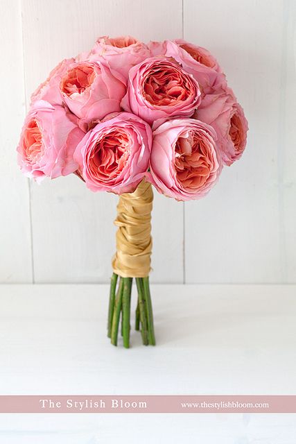 . Cabbage Roses Bouquet, Garden Rose Bouquet Wedding, Cabbage Rose Bouquet, Garden Rose Bouquet, Garden Wedding Ideas, Cabbage Rose, Roses Bouquet, Pink Wedding Flowers, Garden Rose