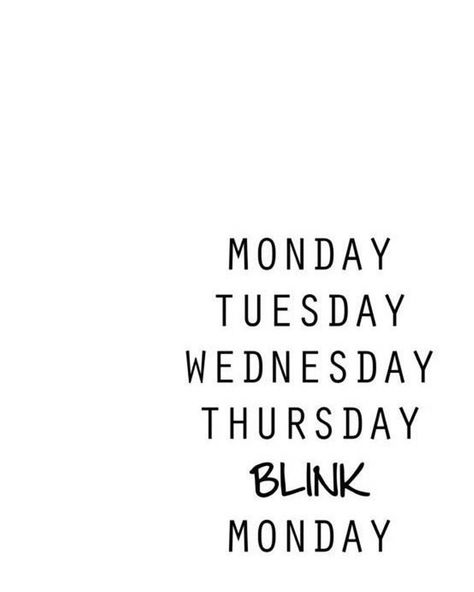 Another weekend gone in the blink of an eye! #sydneyscloset Funny Work Quotes, Happy Weekend Quotes, Weekend Quotes, Work Quotes Funny, Monday Quotes, Sunday Quotes, Funny Work, Its Friday Quotes, Witty Quotes