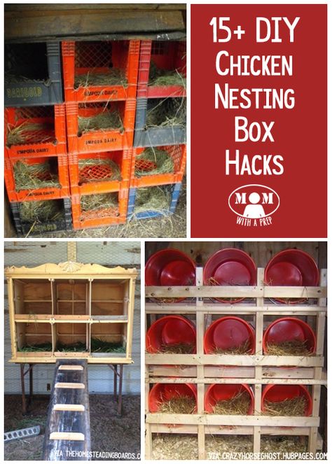 15+ Chicken Nesting Box Hacks @ Momwithaprep.com Chicken Hacks, Chicken Boxes, Box Hacks, Chicken Coup, Chicken Nesting Boxes, Raising Backyard Chickens, Chicken Coop Designs, Keeping Chickens, Building A Chicken Coop