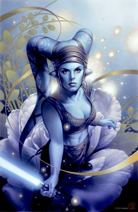 Gray Jedi, Alien Women, Quinlan Vos, Comic Pics, Aayla Secura, Sith Lords, Jedi Art, Grey Jedi, Mara Jade