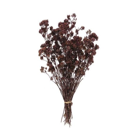 Oregano Dried Purple 3 x 3 oz (£9.85) ❤ liked on Polyvore featuring home, home decor, floral decor, fillers, flowers, plants, nature, backgrounds, text and picture frame Pngs For Moodboards, Gambar One Direction, Png Aesthetic, Screen Icon, Plants Nature, Decor Flowers, Purple Home, Png Icons, Widget Icon