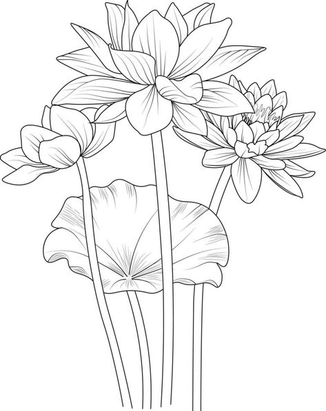 Lotus flower outline, Beautiful botanical floral pattern illustration for coloring page or book, Egyptian lotus flower sketch art hand drawn monochrome, vector art, illustration. Lotus Flower Sketch, Lotus Flower Outline, Lotus Artwork, Lotus Drawing, Egyptian Lotus, Lotus Flower Tattoo Design, Flower Sketch, Lotus Flower Art, Flowers Coloring