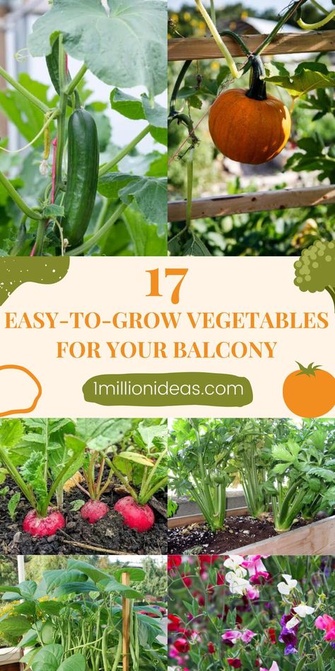 Have you ever thought of owning a compact garden in little spaces of your house yet? Growing a balcony vegetable garden that doesn’t need a green thumb or crazy amounts of space is a great way to harvest a fresh garden. If you’re considering starting a balcony vegetable garden, we’ve put together a list of 17 Easy-to-grow Vegetables For Your Balcony. Apartment Herb Gardens, Apartment Vegetable Garden, Balcony Vegetable Garden, Urban Gardening Balcony, Compact Garden, Little Spaces, Growing Peas, Garden Boxes Diy, Apartment Balcony Garden