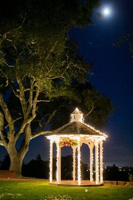 Pergola Wedding, Yellow Photos, Wedding Pergola, Gazebo Lighting, Elegant Wedding Themes, Pergola Swing, Gazebo Wedding, Metal Pergola, Backyard Pergola