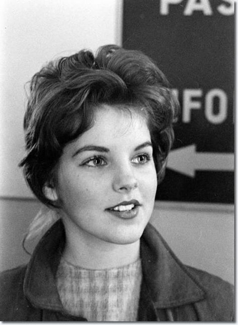 Young Priscilla Presley in a G... is listed (or ranked) 2 on the list 13 Pictures of Young Priscilla Presley Young Priscilla Presley, Freddy Rodriguez, Elvis Presley Priscilla, Elvis Presley Family, Sean Leonard, Elvis And Priscilla, Under The Knife, Diane Lane, American Legend