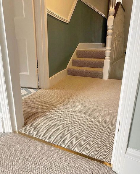 CAT Feline 2 Solid Brass Twin Top Brass Transition Strip, Carpet Wood Floor Transition, Carpet To Carpet Transition, Carpet Threshold Ideas, Carpet To Carpet Transition Ideas, Second Floor Carpet, Hallway To Bedroom Flooring Transition, Carpet Transition Strip, Carpet To Floor Transition