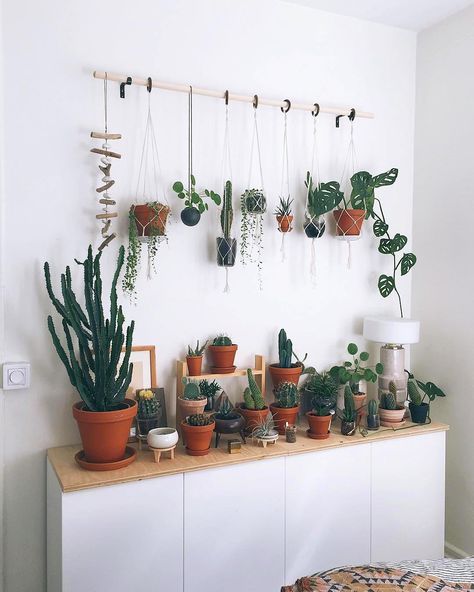 Bath Plants, Small Bedroom Wardrobe, Kaktus Dan Sukulen, Planters Ideas, Room Plants, Wooden Floating Shelves, Deco Nature, Bath Room, Plant Mom