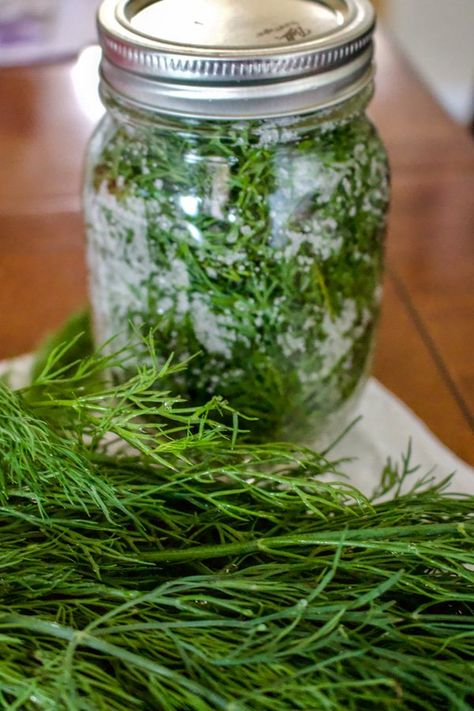 Herbs Preserving, Preserve Herbs, Preserve Fresh Herbs, Herb Spiral, Sausage Making, Watermelon Drink, Canned Fruits, Preserving Herbs, Canning Vegetables