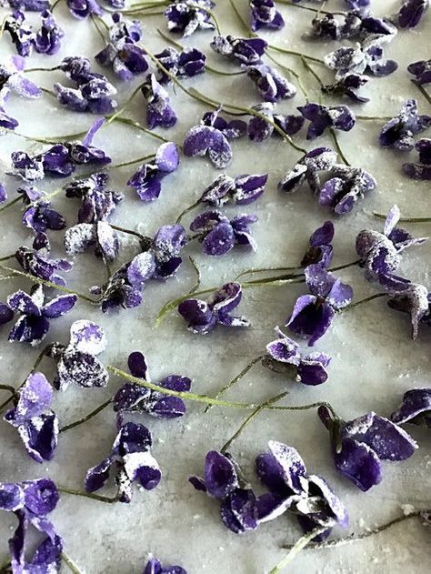 Candied Violets Edible Flowers, Candied Herbs, Candied Violets, Herbal Candy, Store Bought Icing, Eating Flowers, Flowers Recipes, Edible Flowers Recipes, Perfect Hostess