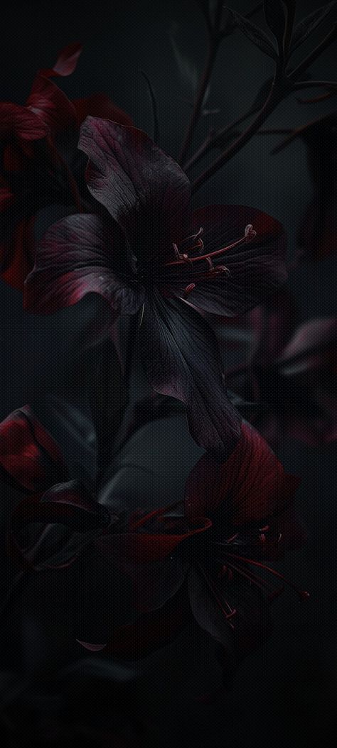 Cute Emo Backgrounds, Dark Feminine Wallpaper Aesthetic Iphone, Black Red Wallpaper Iphone, Black And Red Aesthetic Wallpaper Iphone, Dark Red Wallpaper Iphone Aesthetic, Dark Autumn Aesthetic Wallpaper, Phone Wallpaper Aesthetic Vintage, Dark Feminine Aesthetic Wallpaper Hd, Iphone Dark Aesthetic