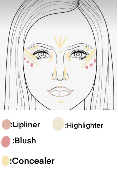 Where To Place Your Makeup On Your Face, Makeup On Face Chart, Natural Makeup Placement, Makeup Tutorial Placement, Face Makeup Placement, Placement Of Makeup, Makeup Looks How To, Simple Makeup Placement, Simple Makeup Looks For Round Face