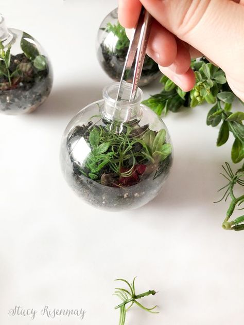 How to make terrarium ornaments! #terrarium #ornaments #diy #diyornament #handmade #handmadeornament #ornament #terrariums #fauxplants #christmasornament Diy Christmas Terrarium, Glass Jar Terrarium Diy, Terrarium Ornaments Christmas, Diy Glass Ornament Ideas, Clear Ornaments Ideas, Terrarium Ornaments, Upcycled Ornaments, Air Plant Ornament, Fairy Trees