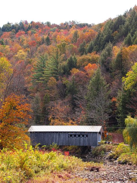 Plan the perfect fall road trip in Vermont. Discover where to see fall foliage along Vermont's Route 100 in this road trip itinerary. Fall Foliage Road Trips, Vermont Vacation, Vermont Fall, Fall Road Trip, New England Fall, Trip Itinerary, Fall Travel, Green Mountain, Road Trip Itinerary