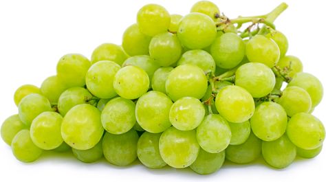 GREEN MUSCAT GRAPES- Green Muscat grapes can be eaten fresh out-of-hand or added to fruit salads and paired with cheese courses. They are often dried for golden raisins or made into wine because the flavor of the grape does not diminish. Green Grapes Aesthetic, Sunrise Trilogy, Grape Aesthetic, Muscat Grapes, College Portfolio, Prophetic Dreams, Asian House, Cheese Course, Green Grape