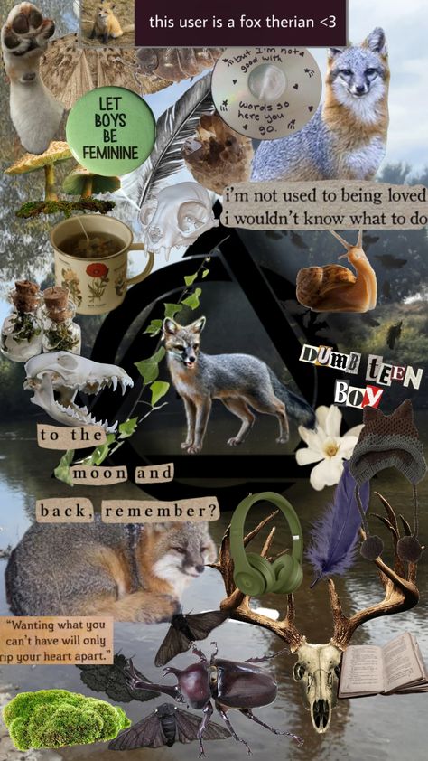 gray fox therian board I made in picsart// tags // goblincore-therian-therianthropy-mushrooms-moodboard-theriotype-grunge-aesthetic-dark-acadamia-core Fox Core Aesthetic, Grey Fox Aesthetic, Grey Fox Therian, Fox Therian Aesthetic, Therian Moodboard, Fox Therian Wallpaper, Fox Moodboard, Therian Background, Hunter Core