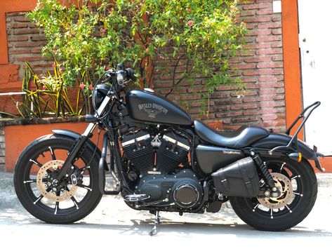 Harley Davidson Sportster 883 Iron, Harley Davidson Iron 883 Custom, Harley Davidson 883 Iron, Iron 883 Custom, Hd 883 Iron, 883 Iron, Harley Davidson 1200, Harley Davidson 883, Harley Davidson Images