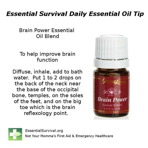 Brain power EO by YL Brain Power Young Living, Herb Tips, Essential Oils For Memory, Herbal First Aid, Healing Essential Oils, Yl Oils, Essential Oils Health, Improve Brain Function, Yl Essential Oils