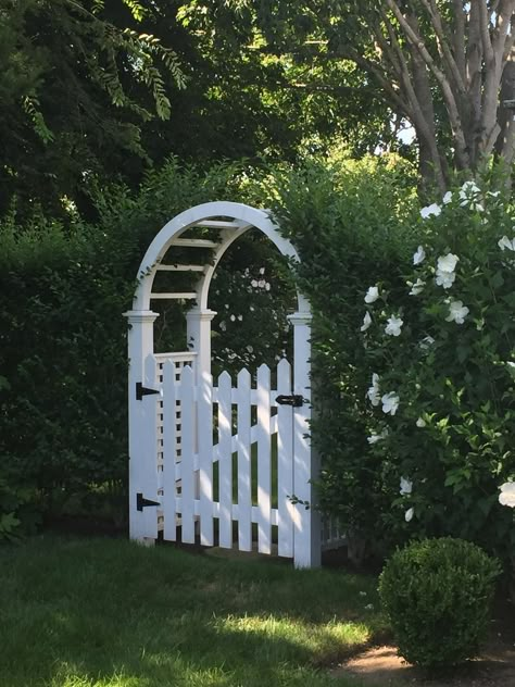 Arbor With Gate, Front Yard Hedges, Garden Arbor With Gate, Side Yard Gate, Arbor Gate, Bay Trees, Picket Gate, Arch Gate, Yard Gate