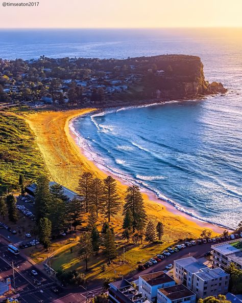 Good morning to you from Avalon Beach Photo by @timseaton2107 https://allswims.au/?find=2008&zoom=14 . #surflifesavingaustralia #surflifesavingnsw #slsnsw #australiaswimming #thalassophile #bestbeachesaustralia #SwimAustralia #masterswimmingaustralia #swimmingnsw #allswimsau Avalon Beach, Surf Life, Beach Photo, Beach Photos, Good Morning, Swimming, Australia, On Instagram, Instagram