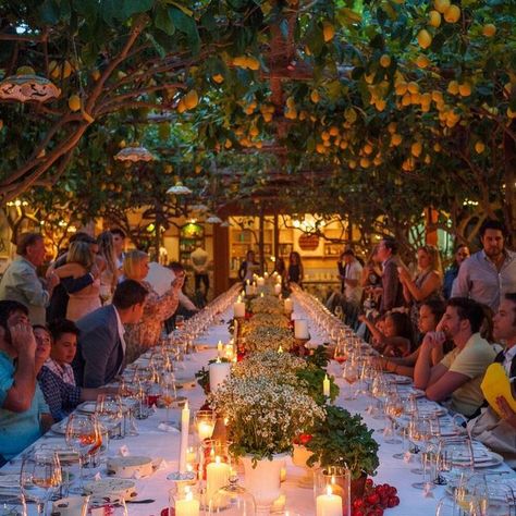 Capri Moments Weddings-Events on Instagram: "The secret of a successful wedding day? It’s the welcome dinner the day before it 😉 Design & Plannig @capri_moments Florist @caprioltreilgiardino Venue @paolinolemontreescapri Photo @santymartinezphotography #caprimoments #capri #capriwedding #capriisland #weddingincapri #casamentoemcapri #destinationwedding #destinationweddingincapri #destinationweddinginitaly #capriweddingplanner #weddingplannercapri #getmarriedinitaly #getmarriedincapri #matr Capri Wedding, Welcome Dinner, Capri Island, Como Wedding, Italian Dinner, Italian Wedding, Italy Wedding, Lake Como, Elope Wedding