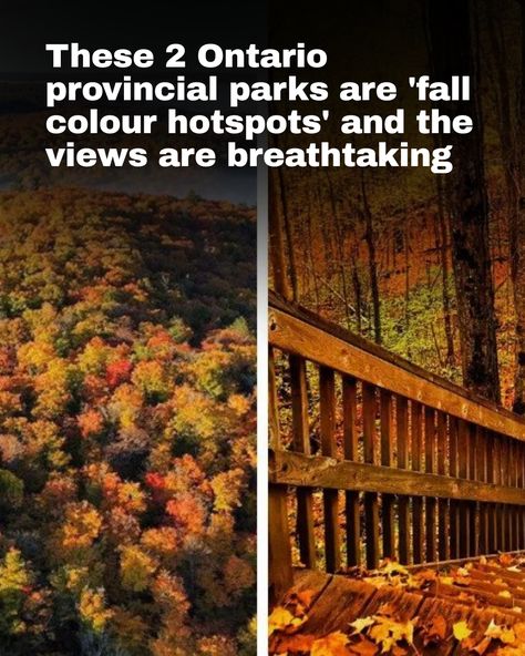 Wondering where the best places to see fall colours in Ontario are? You may want to plan a trip to one of these stunning provincial parks.  Click here☝️to know more!  📸 : @algonquin_pp | Instagram, @wanderingdana | Instagram Ontario Provincial Parks, Ontario Parks, Algonquin Park, Fall Colours, Leaf Peeping, Plan A Trip, Walking Trails, Lake Superior, Canada Travel