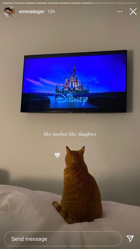 Orange Cat, Screen, Tv, Orange, Bed, Instagram