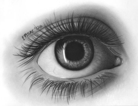 Eye Pencil Drawing, Eyes Realistic, Eye Drawings, Realistic Eye Drawing, Tree Drawings Pencil, Draw Eyes, Drawing Eyes, Eye Sketch, Realistic Eye