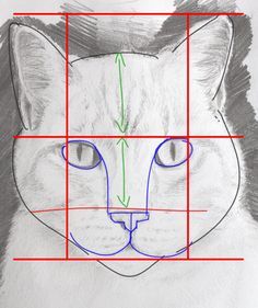 COMMENT DESSINER UN CHAT FACILEMENT : TUTORIEL VIDEO ( EPISODE 3 ) Draw A Cat, Regnul Animal, Wallpaper Retro, Cat Portrait, Art Instructions, Pencil Portrait, Drawing Lessons, Cat Portraits, Realistic Drawings