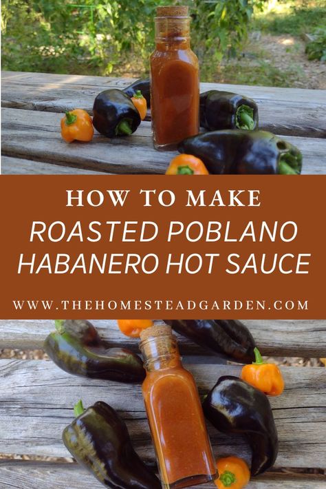 Learn how to make a Roasted Poblano Habanero Hot Sauce Recipe. This balances the sweetness of carrots and honey with the spicy heat of poblano and habanero peppers to make a delicious and thick hot sauce for your chicken wings, subs, pizza, and more. Poblano Hot Sauce Recipe, Habanero Hot Sauce Recipe, Habanero Sauce Recipe, Habanero Recipes, Poblano Sauce, Hot Sauce Recipe, Wing Sauce Recipes, Pepper Sauce Recipe, Roasted Poblano