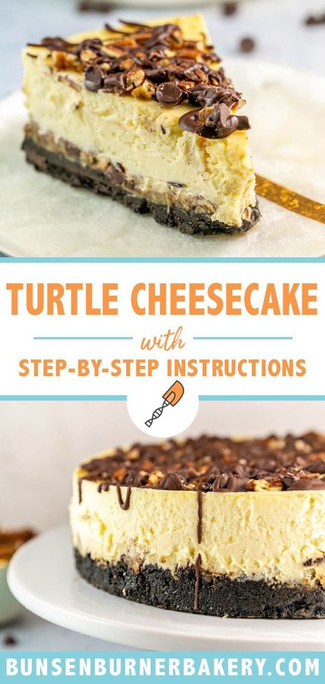 Cheesecake With Chocolate Crust, 2 Tier Cheesecake, White Chocolate Macadamia Nut Cheesecake, Cheesecake Recipes With Oreo Crust, Turtle Pecan Cheesecake, Cheesecake Recipes Turtle, Turtle Cheesecake Recipe Easy, Easy Turtle Cheesecake, Turtles Cheesecake