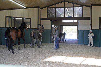 Building a Horse Breeding Shed - TheHorse.com | Consider your facility and equipment needs before you begin. #horses #breedingshed #barns #TheHorse Dream Barn Stables, Equine Barns, Equine Vet, Shed Design Plans, Barns And Stables, Horse Business, Stud Farm, Shed House Plans, Equine Care