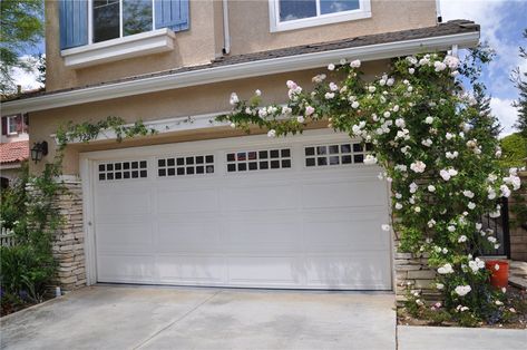 Climbing Rose Over Garage Arbor Over Garage, Garage Door Trellis, Garage Pergola Diy, Garage Trellis, Door Trellis, Pergola Shade Cover, Garage Pergola, Garage Door Styles, Garage Door Makeover