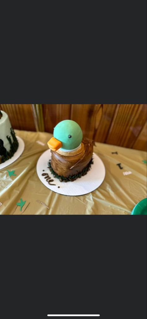 Duck Smash Cake First Birthdays, One Lucky Duck Party Favors, One Lucky Duck Smash Cake, One Lucky Duck Birthday Party Decor, One Lucky Duck Cake, One Lucky Duck Birthday Cake, One Lucky Duck Birthday Party Mallard, Mallard Cake, Duck Smash Cake