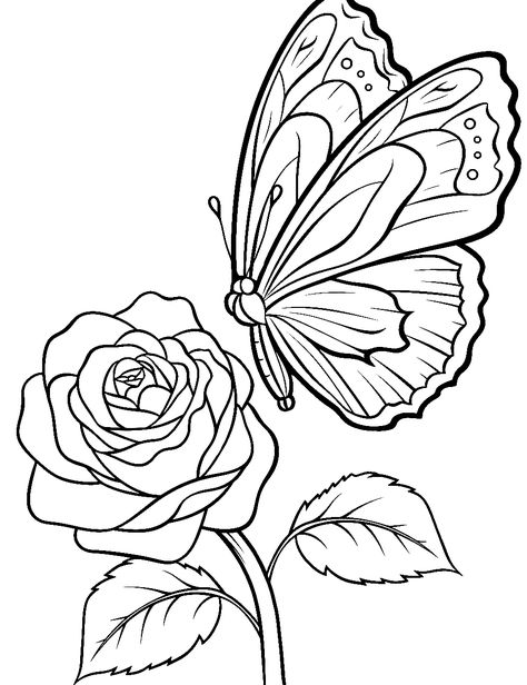 Butterfly Landing on a Petal: A delicate butterfly hovering over a lush rose petal. (Free Printable Coloring Page for Kids) Butterfly In A Flower Drawing, Butterfly Rose Drawing, Rose Coloring Pages Free Printable, Adult Coloring Book Pages Free Printable, Coloring Pages Butterflies, Butterfly Colouring Pages, Cute Coloring Pages For Adults, Butterfly Coloring Pages Free Printable, Realistic Coloring Pages