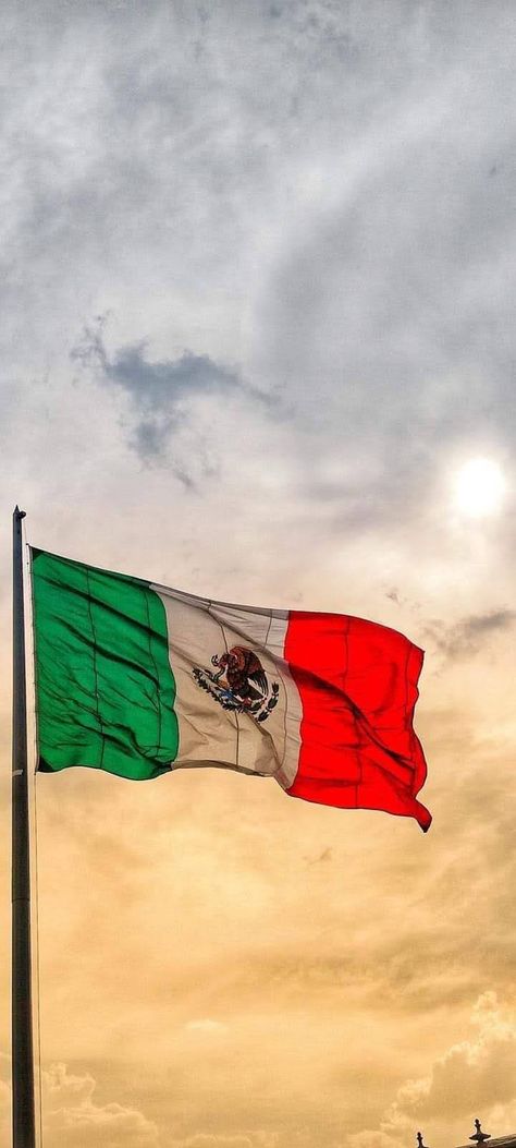 Bandera de México Latina Aesthetic Wallpaper, Mexican Summer, Mexico Wallpaper, Latina Aesthetic, Mexican Themed Weddings, Mexican Independence Day, Mexican Culture Art, Mexico Culture, Mexican Flag