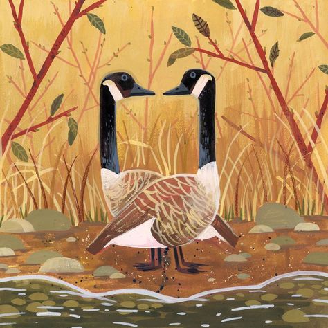 Kim Smith on Instagram: “Goose love. You can always tell it’s spring when there are pairs of geese strolling around everywhere. The green is just starting to creep…” Goose Drawing, Frozen Planet, Kim Smith, Canadian Goose, Bad Dog, Art And Illustration, Kids' Book, Childrens Illustrations, Birds Painting