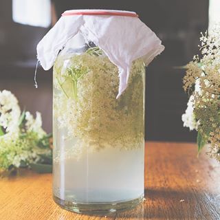 Elderflower Recipes, Spring Recipe, Foraging Recipes, Fermentation Recipes, Fermented Drink, Wild Edibles, Garden Recipes, Wild Food, Spring Recipes