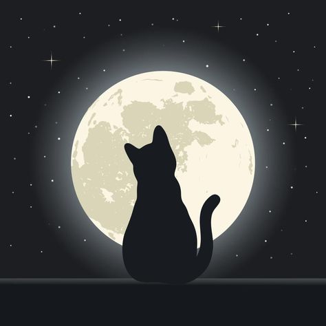 Cat on a background of the night sky with stars and the moon Cat Shadow Painting, Moon Cat Drawing, Cat Drawing Black, Night Sky With Stars, Stars And The Moon, Black Cat Drawing, Full Moon Tattoo, Good Night Cat, Sky With Stars